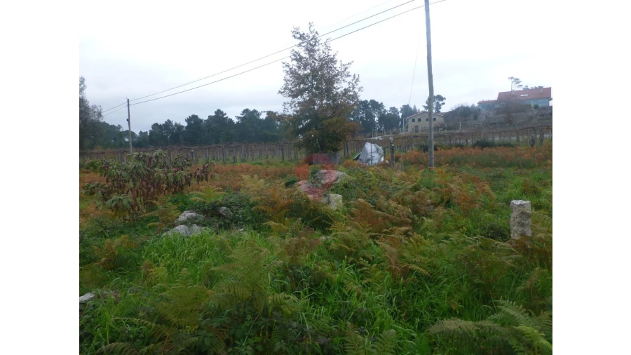 Moradia T2 para Venda em Moreira Foto 4