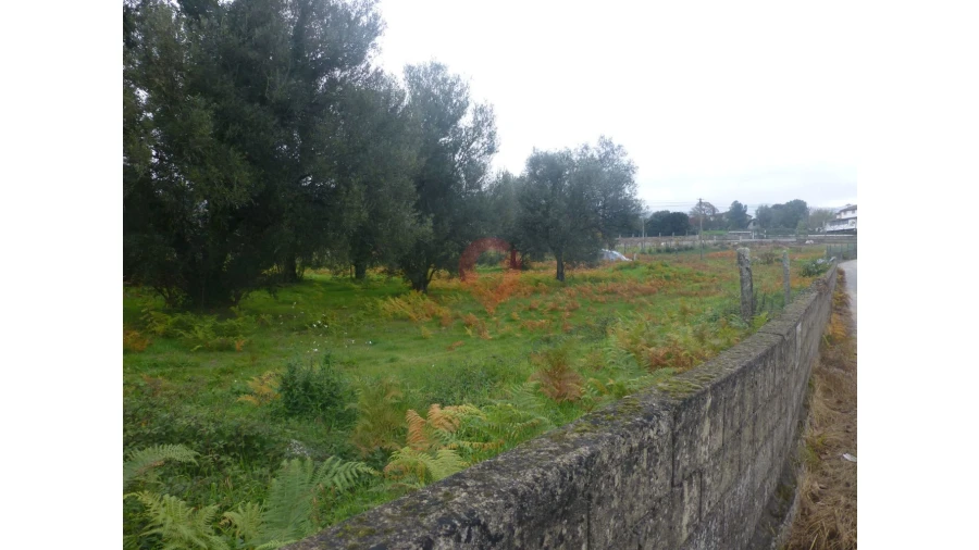 Moradia T2 para Venda em Moreira Foto 3