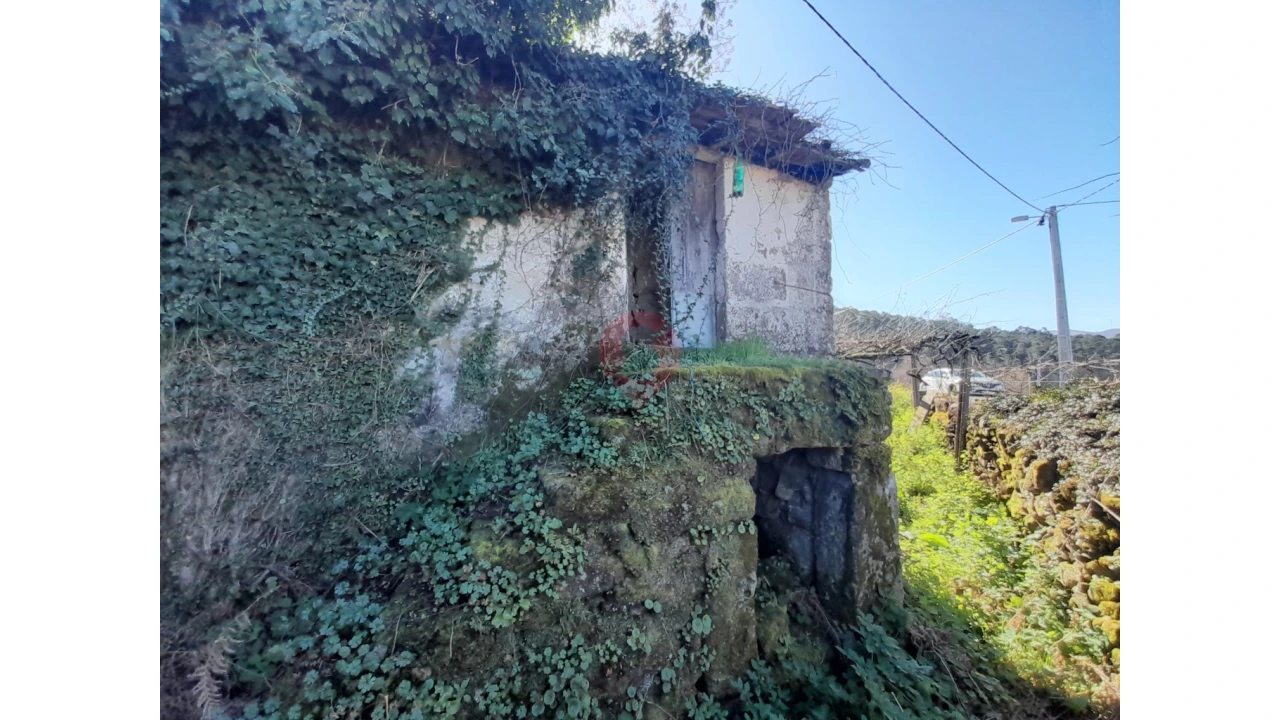 Moradia T0 para Venda em Tangil Foto 4