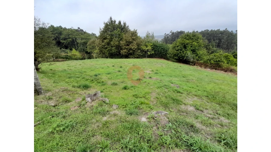 Moradia T2 para Venda em Chaviães e Paços Foto 3