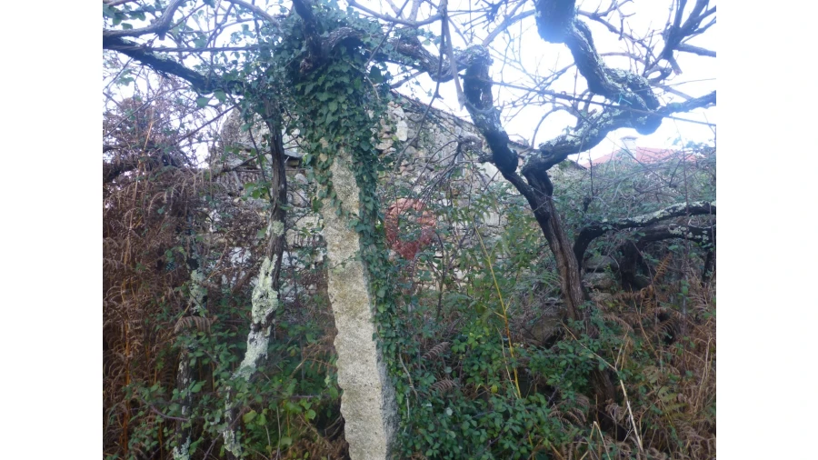 Moradia T0 para Venda em Longos Vales Foto 9