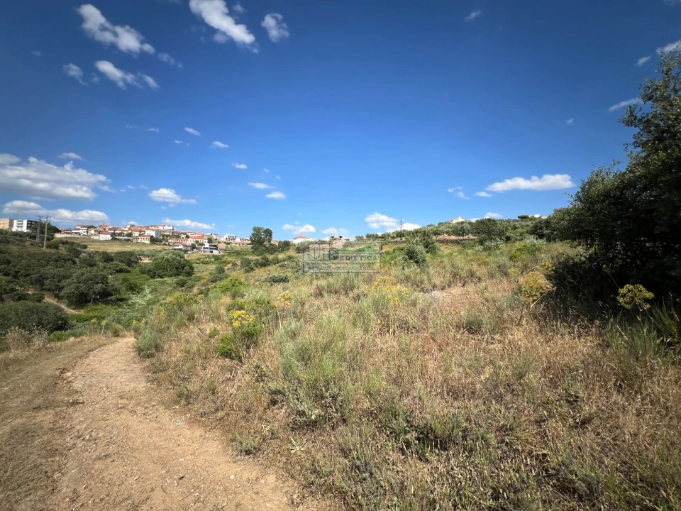 Terreno para Venda em Alfandega da Fe Foto 10