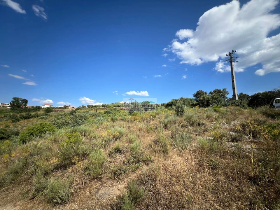 Terreno para Venda em Alfandega da Fe Foto 13