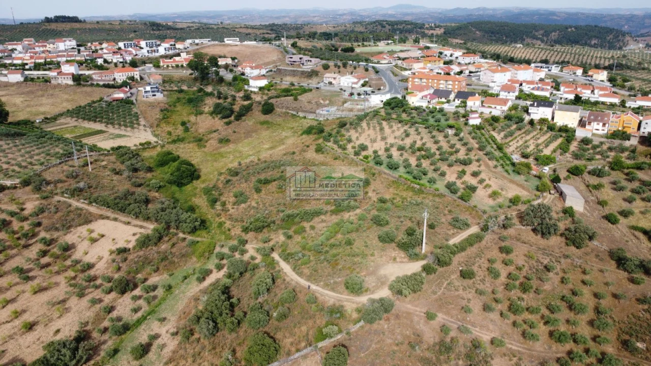 Terreno para Venda em Alfandega da Fe Foto 8