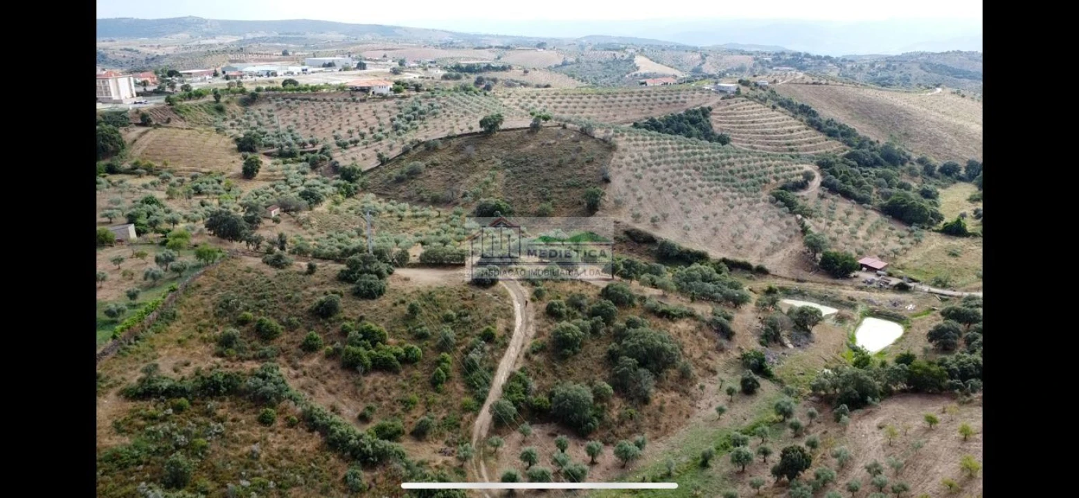 Terreno para Venda em Alfandega da Fe Foto 14