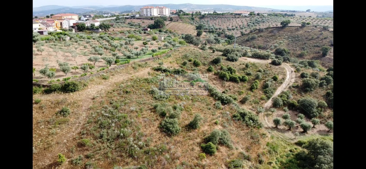 Terreno para Venda em Alfandega da Fe Foto 15