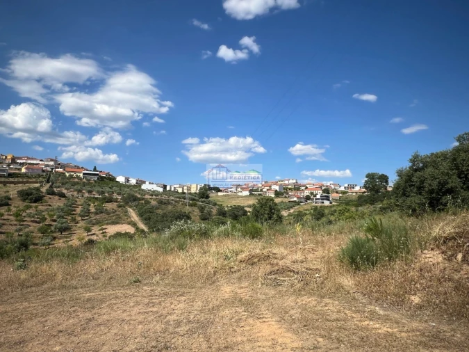 Terreno para Venda em Alfandega da Fe Foto 9