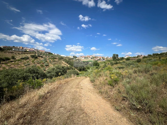 Terreno para Venda em Alfandega da Fe Foto 12