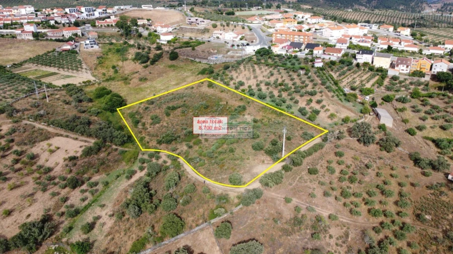 Terreno para Venda em Alfandega da Fe Foto 2