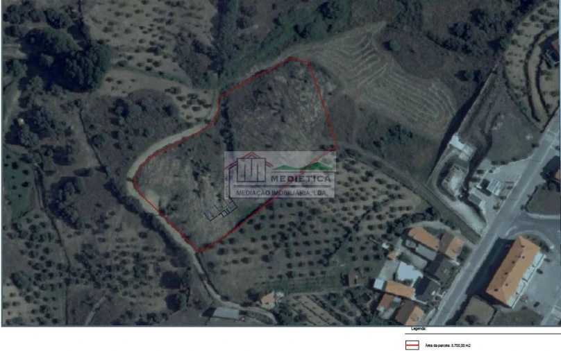 Terreno para Venda em Alfandega da Fe Foto 7