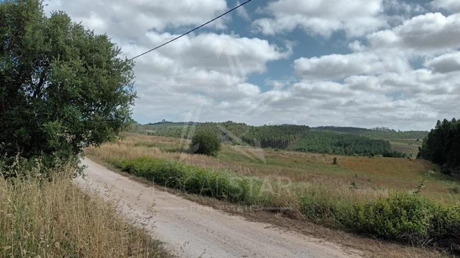 Terreno para Venda em Bombarral e Vale Covo Foto 4