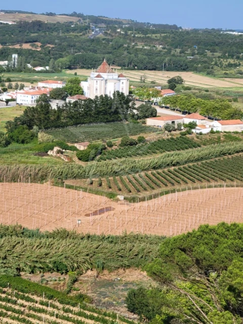 Terreno para Venda em Nossa Senhora do Pópulo, Coto e São Gregório