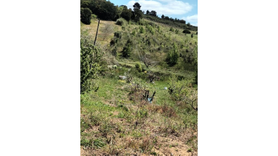 Terreno para Venda em Roliça Foto 11