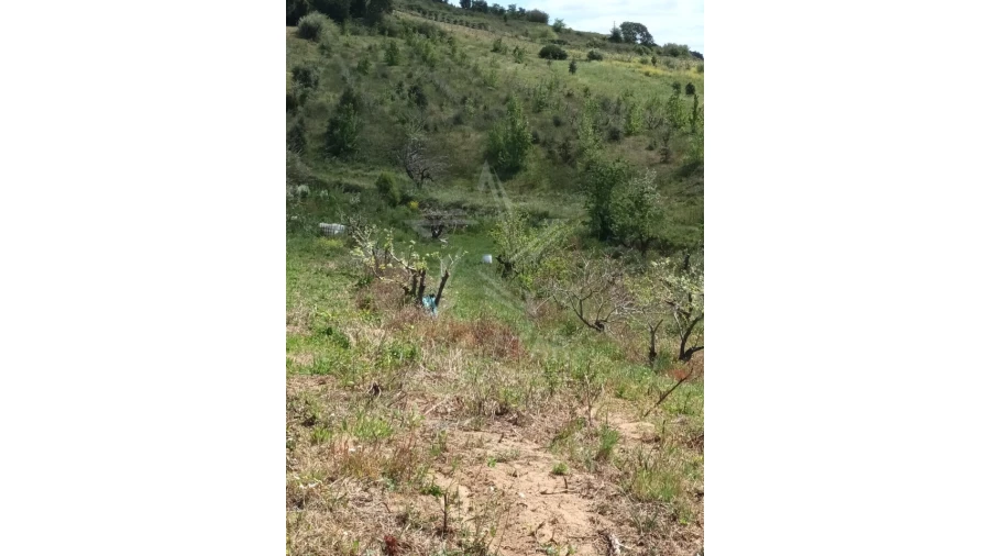 Terreno para Venda em Roliça Foto 12