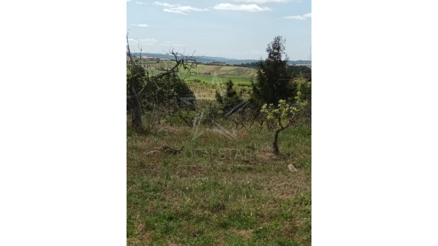 Terreno para Venda em Roliça Foto 13