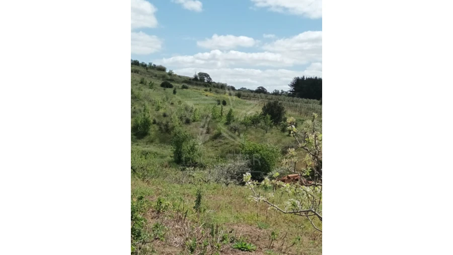 Terreno para Venda em Roliça Foto 14