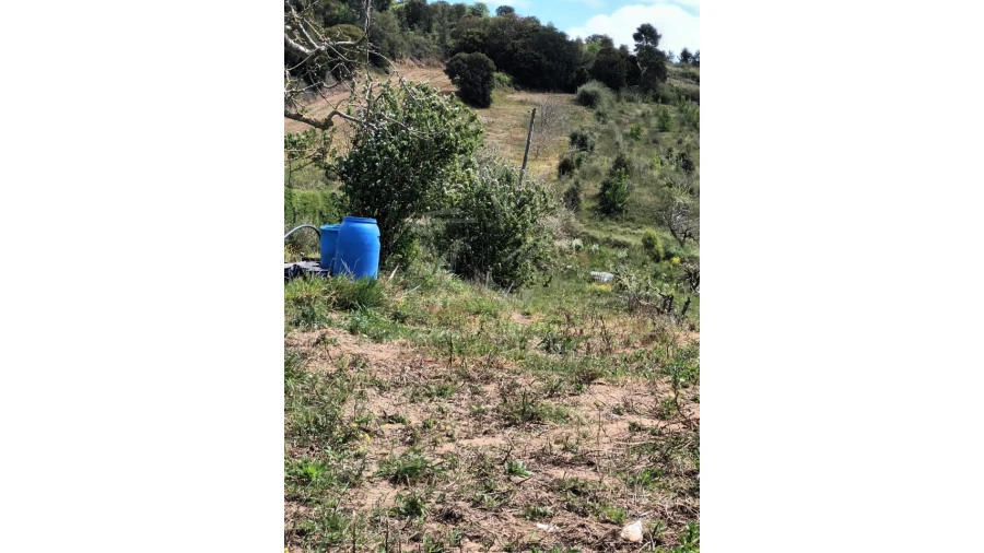 Terreno para Venda em Roliça Foto 15