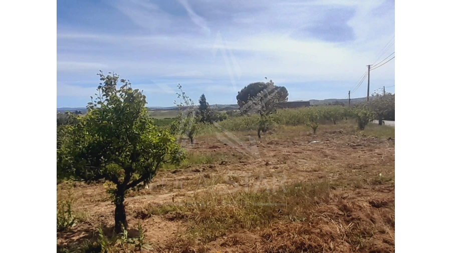 Terreno para Venda em Roliça Foto 2