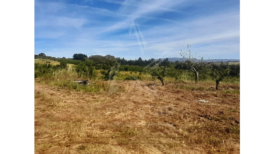 Terreno para Venda em Roliça Foto 3