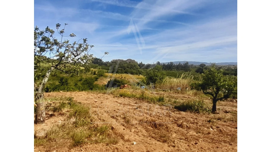 Terreno para Venda em Roliça Foto 5