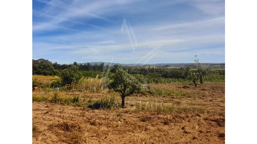Terreno para Venda em Roliça Foto 8