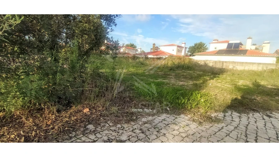 Terreno para Venda em Nadadouro Foto 3