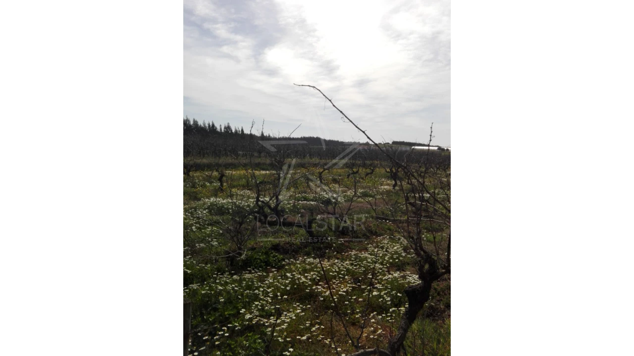 Terreno para Venda em Moita dos Ferreiros Foto 7