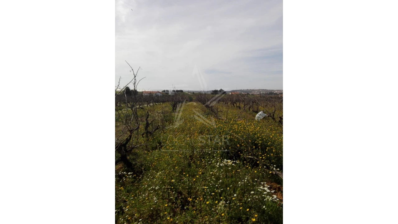 Terreno para Venda em Moita dos Ferreiros Foto 8
