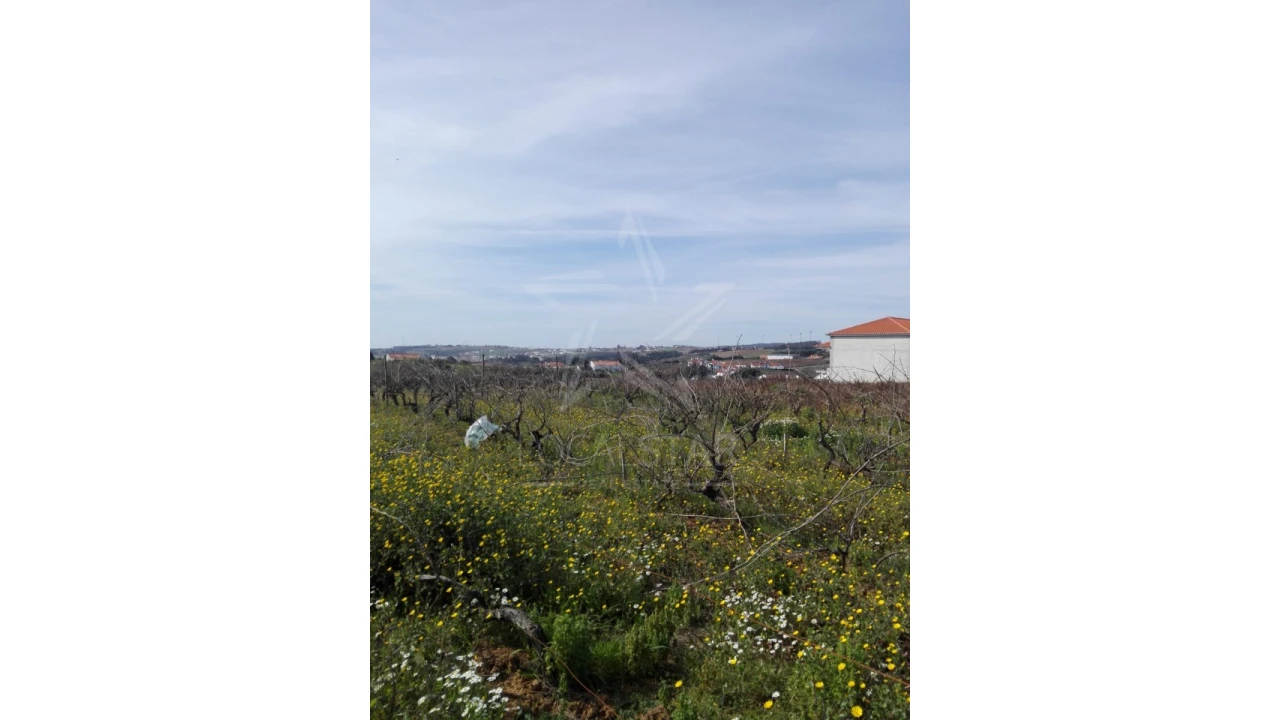 Terreno para Venda em Moita dos Ferreiros Foto 9