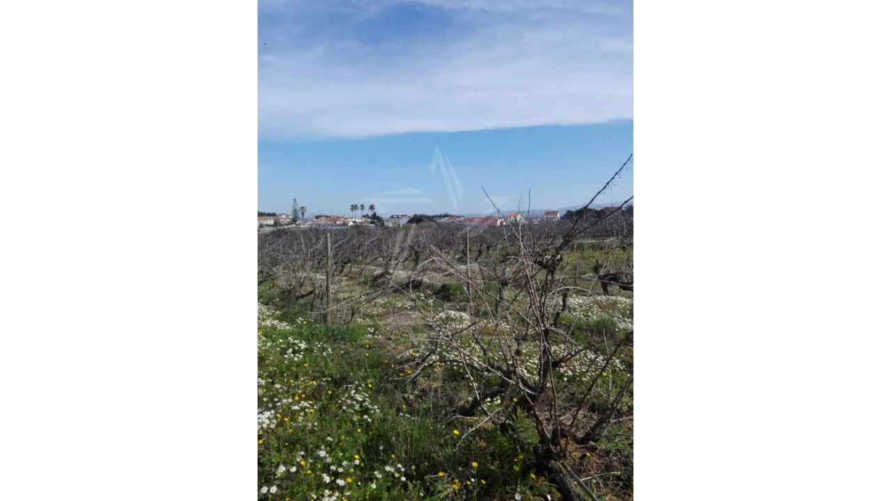 Terreno para Venda em Moita dos Ferreiros Foto 10