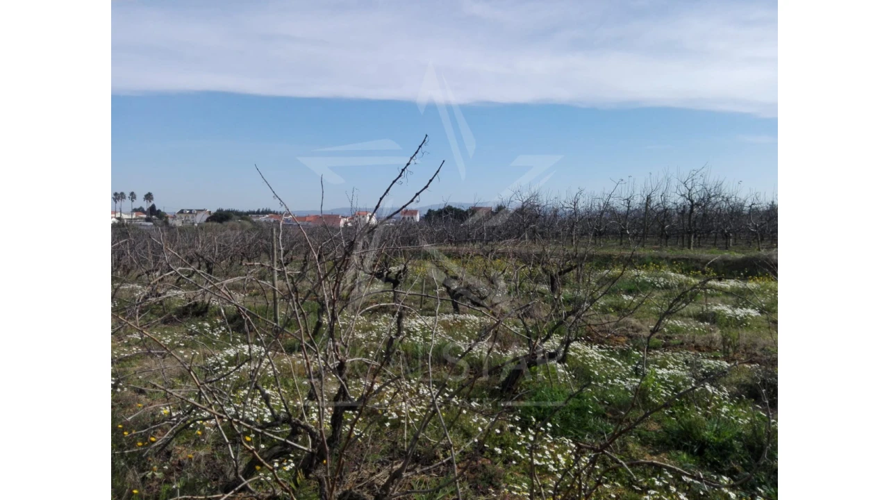 Terreno para Venda em Moita dos Ferreiros Foto 11