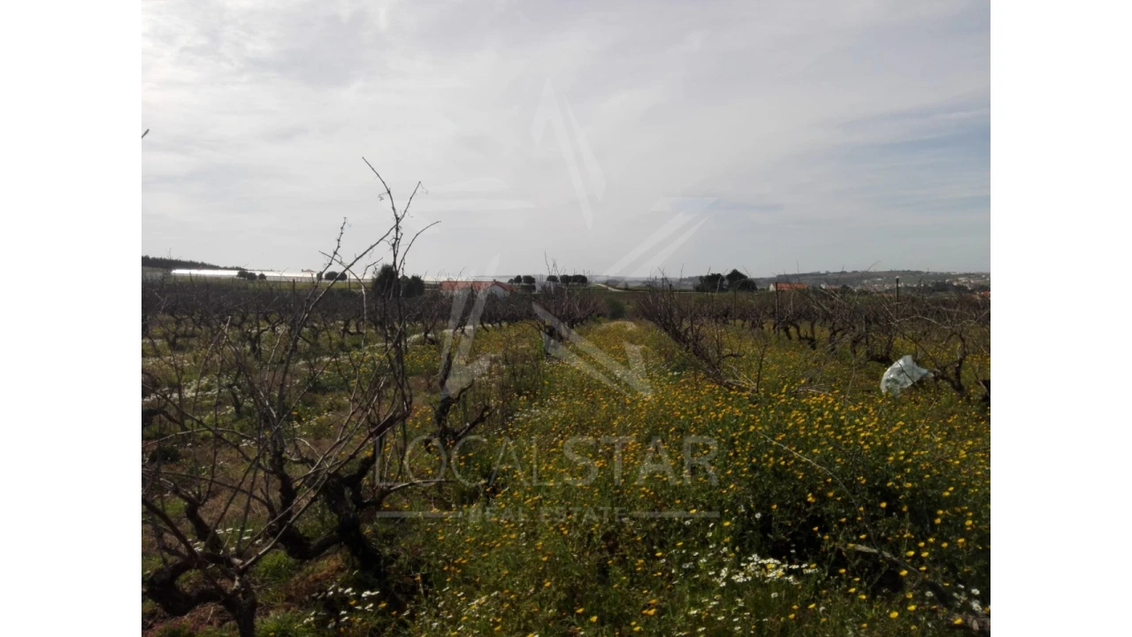 Terreno para Venda em Moita dos Ferreiros Foto 12