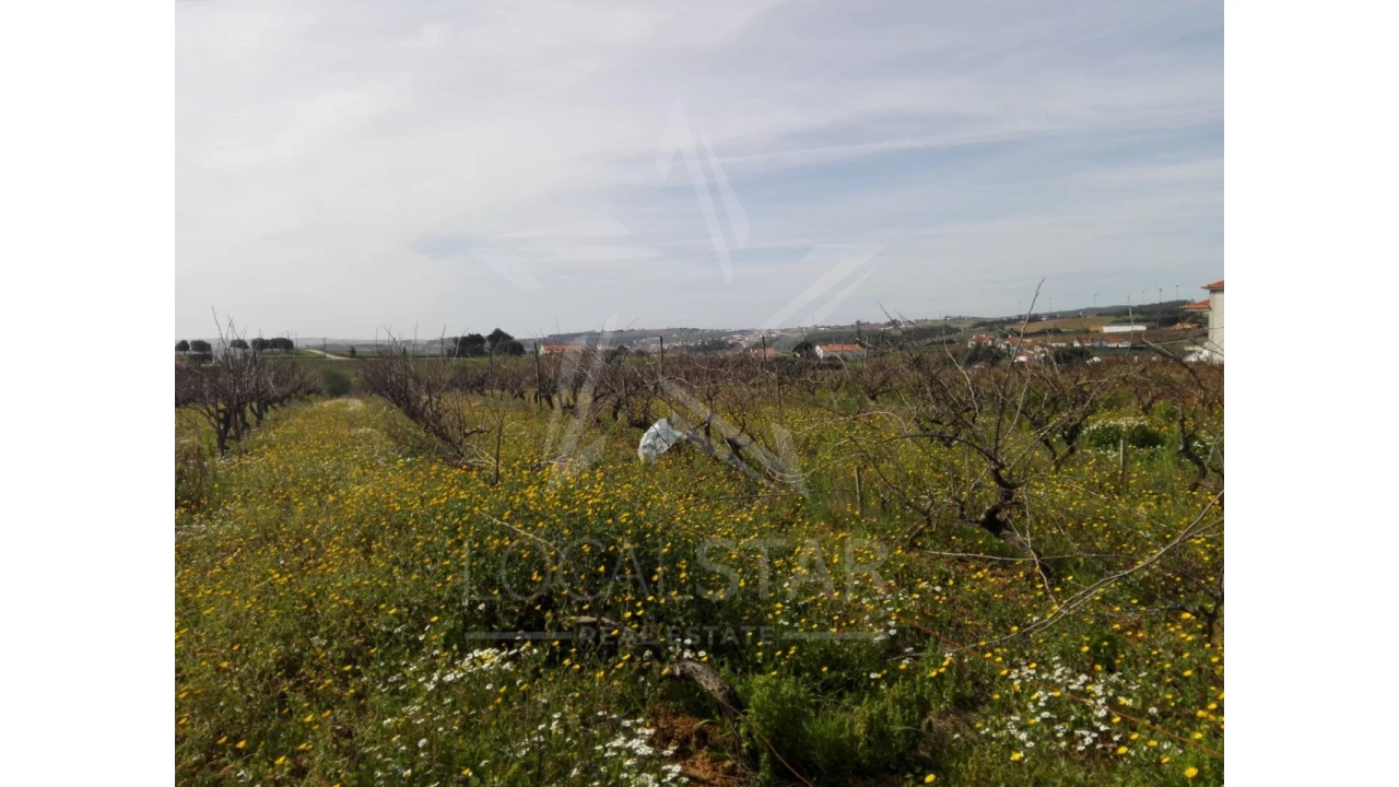 Terreno para Venda em Moita dos Ferreiros Foto 14