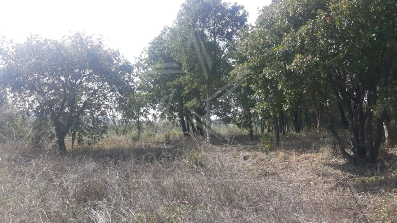 Terreno para Venda em Roliça Foto 5