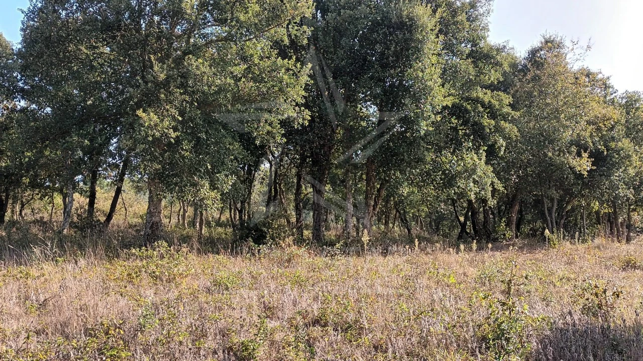 Terreno para Venda em Roliça Foto 10