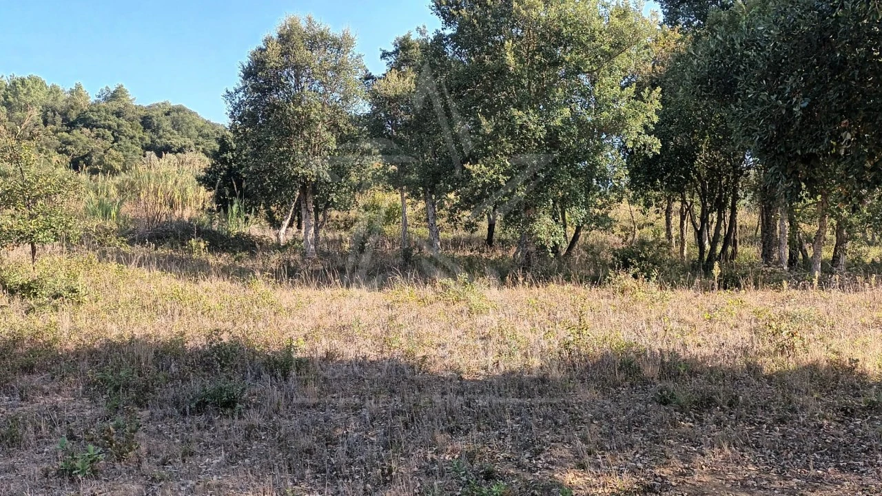 Terreno para Venda em Roliça Foto 13