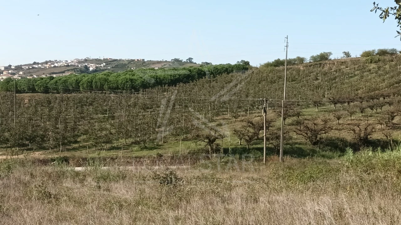 Terreno para Venda em Roliça Foto 14