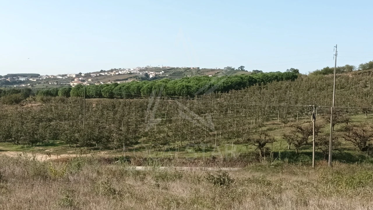 Terreno para Venda em Roliça Foto 15