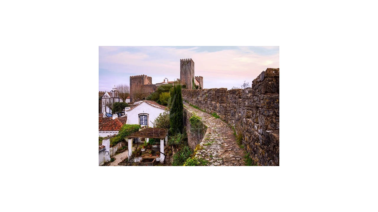 Terreno para Venda em Roliça Foto 18
