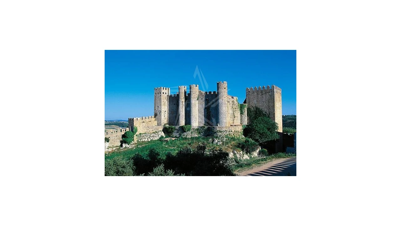 Terreno para Venda em Roliça Foto 19