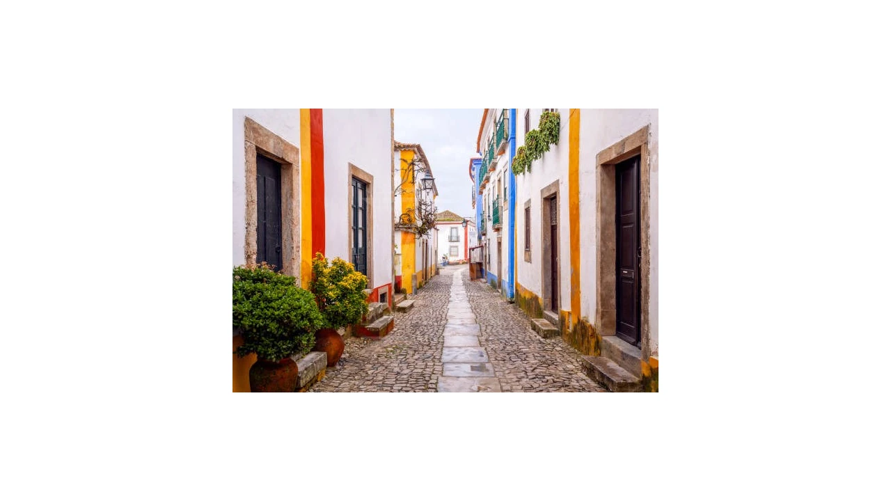 Terreno para Venda em Roliça Foto 20