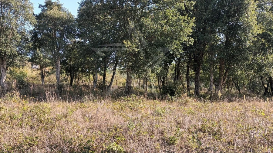 Terreno para Venda em Roliça Foto 4