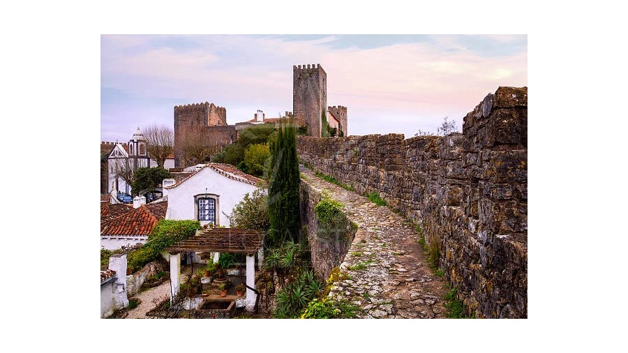 Terreno para Venda em Roliça Foto 18