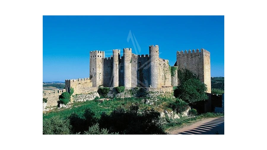 Terreno para Venda em Roliça Foto 19