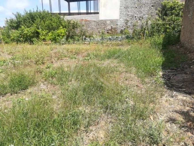 Terreno para Venda em Santa Maria, São Pedro e Sobral da Lagoa Foto 4