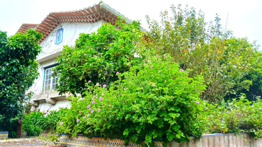 Moradia T7 para Venda em Nossa Senhora do Pópulo, Coto e São Gregório Foto 31