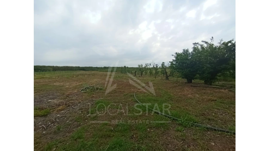Moradia T4 para Venda em Alfeizerão Foto 33