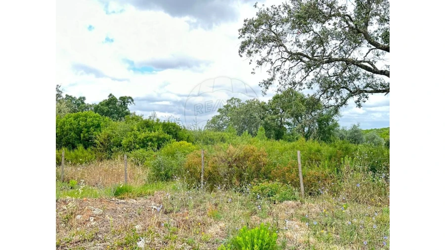 Terreno para Venda em Manique do Intendente, Vila Nova de São Pedro e Maçussa Foto 5
