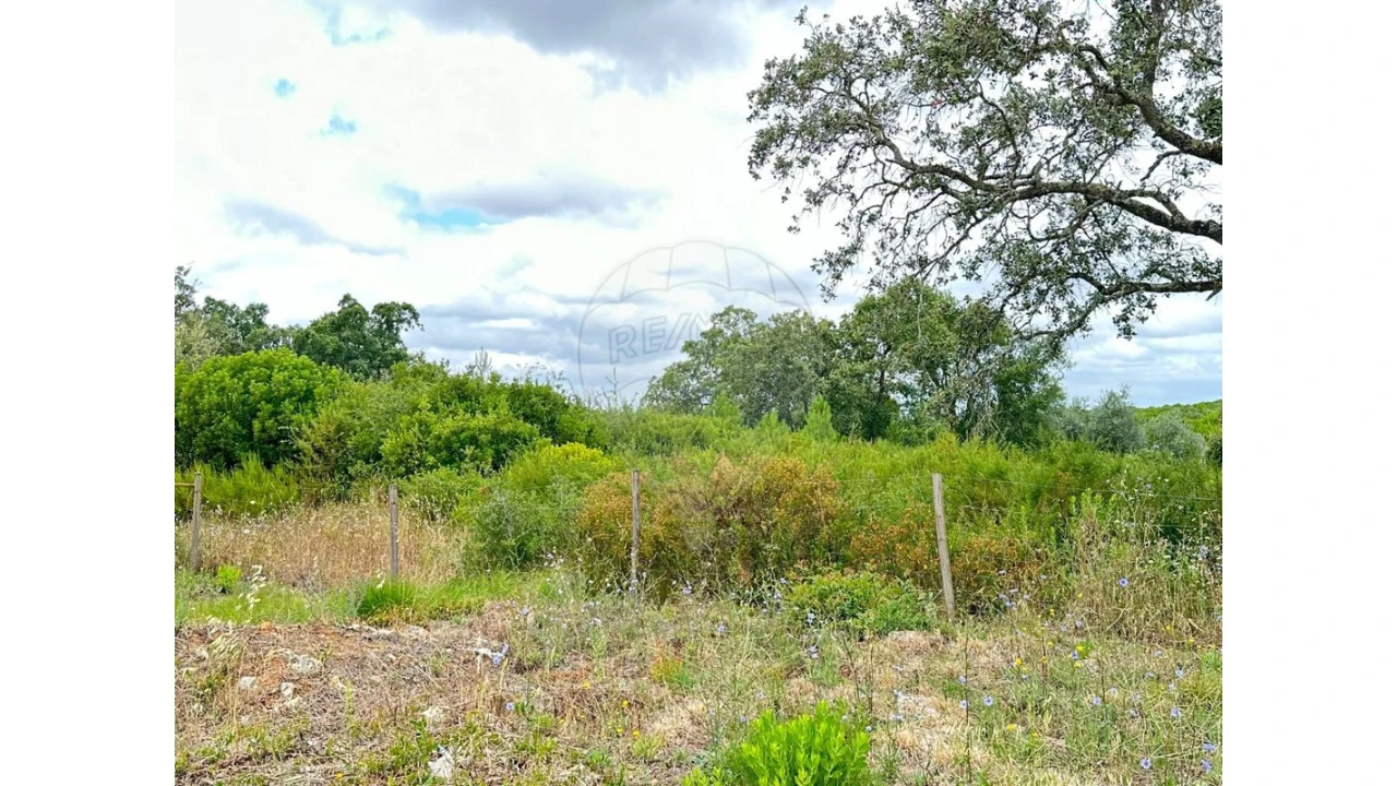 Terreno para Venda em Manique do Intendente, Vila Nova de São Pedro e Maçussa Foto 5