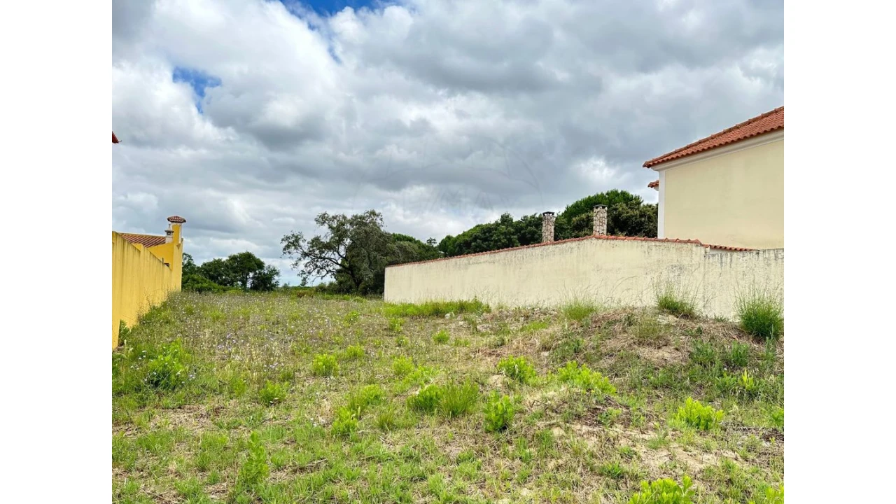 Terreno para Venda em Manique do Intendente, Vila Nova de São Pedro e Maçussa Foto 4